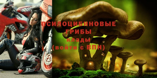 тгк Михайловка
