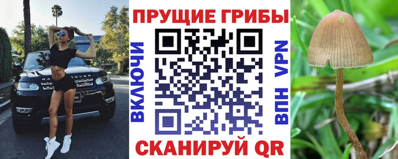Псилоцибиновые грибы прущие грибы Королёв